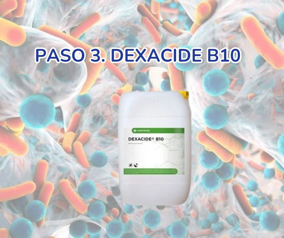 PASO_3_DEXACIDE_B10.jpg